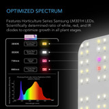 LED Grow Light Board with Samsung LM301H Diodes, Deeper Penetration Full Spectrum Lighting, for Veg Bloom Indoor Plants in Grow Tents Greenhouses 